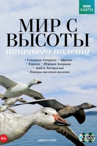  Мир с высоты птичьего полета 